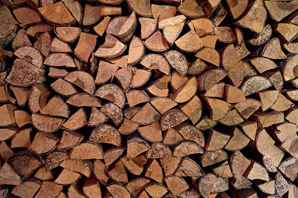 bois coupé cheminé