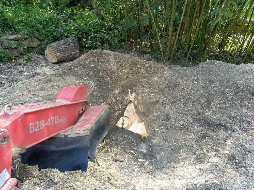 Dessouchage à Le Tablier